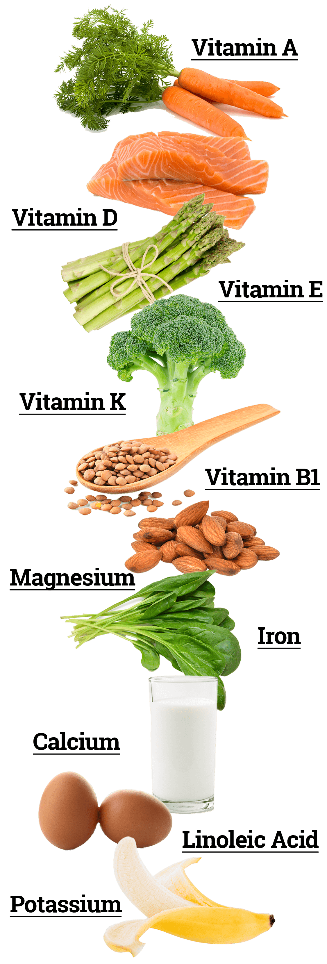 Image of the different types of vitamins and minerals found in Talló Balm as represented by other vegetables and foods